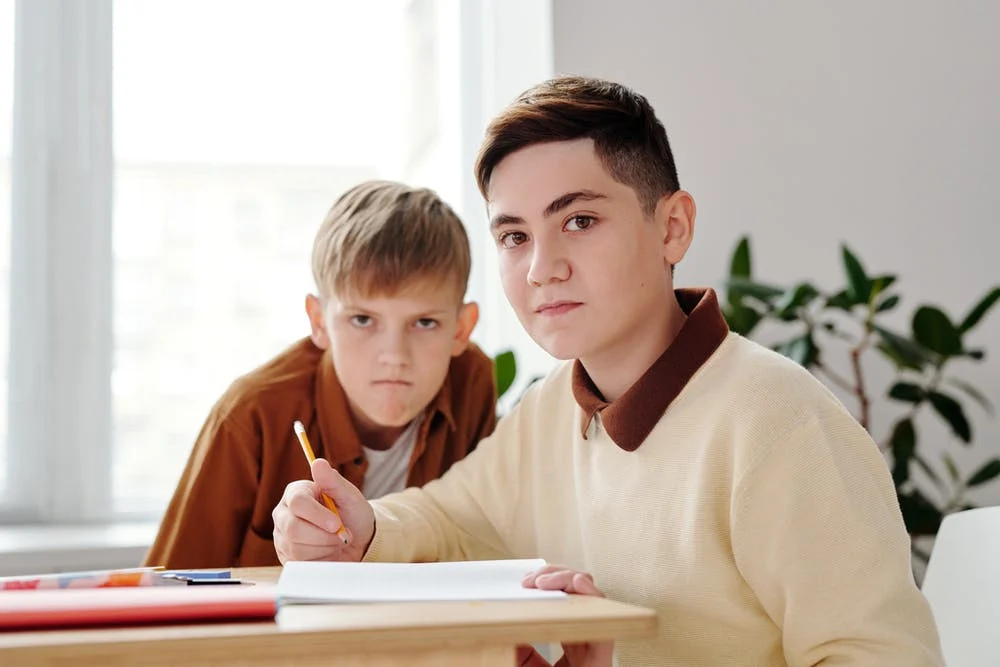 Галерея изображений